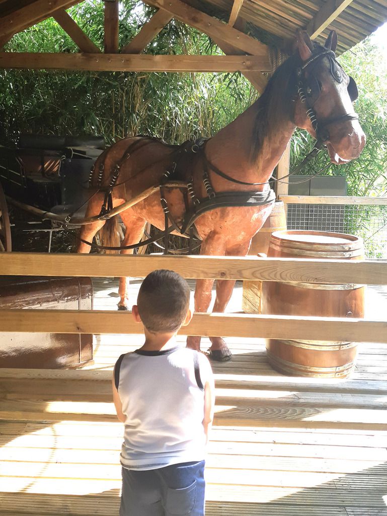 Nigloland, Attraction, Parc, Famille, Troyes, Cheval