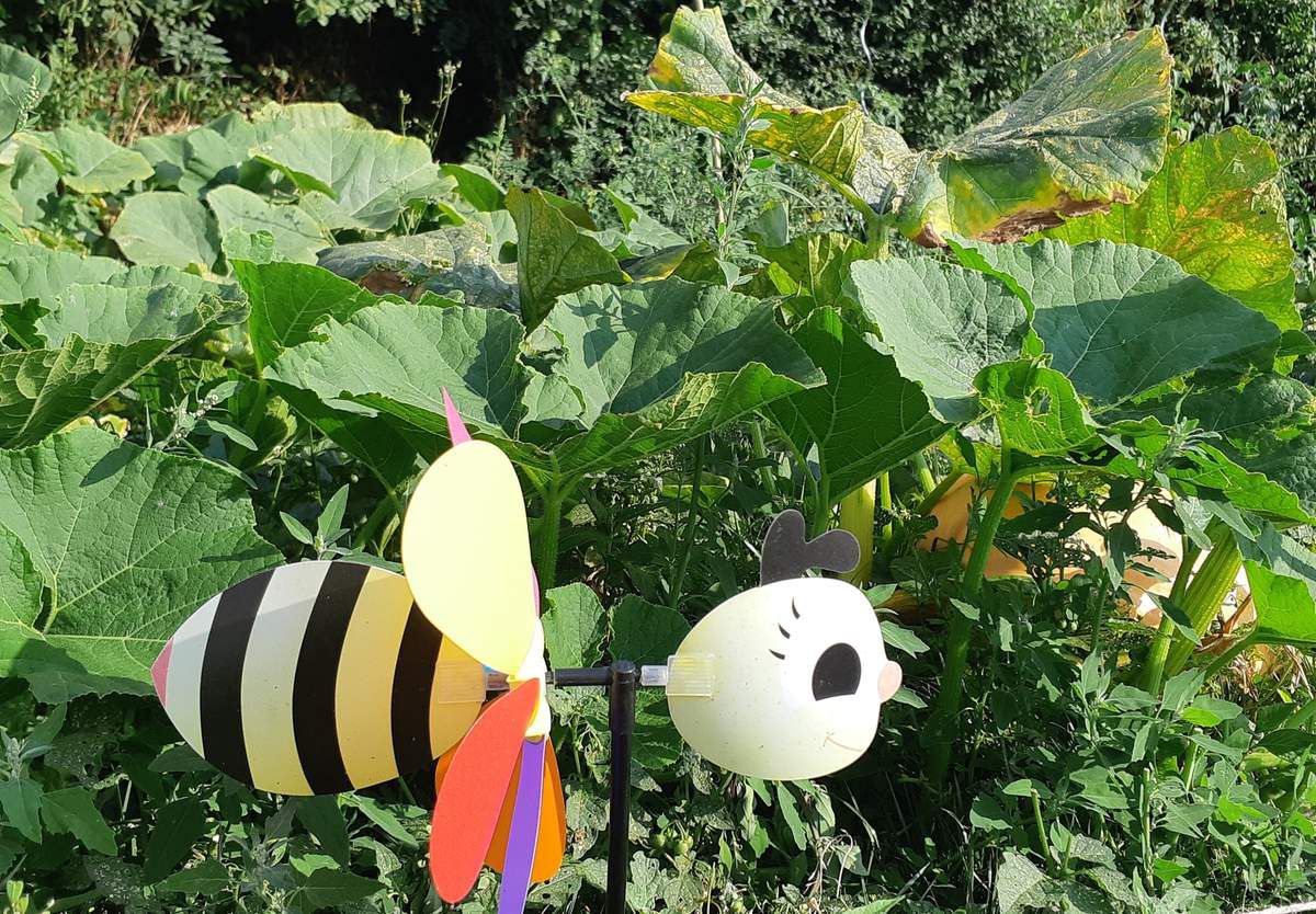 Jardin, légumes, nature, bio