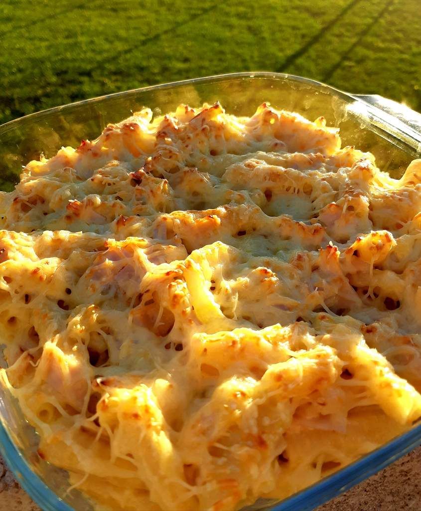 Gratin de page courgette dinde, recette facile, légume