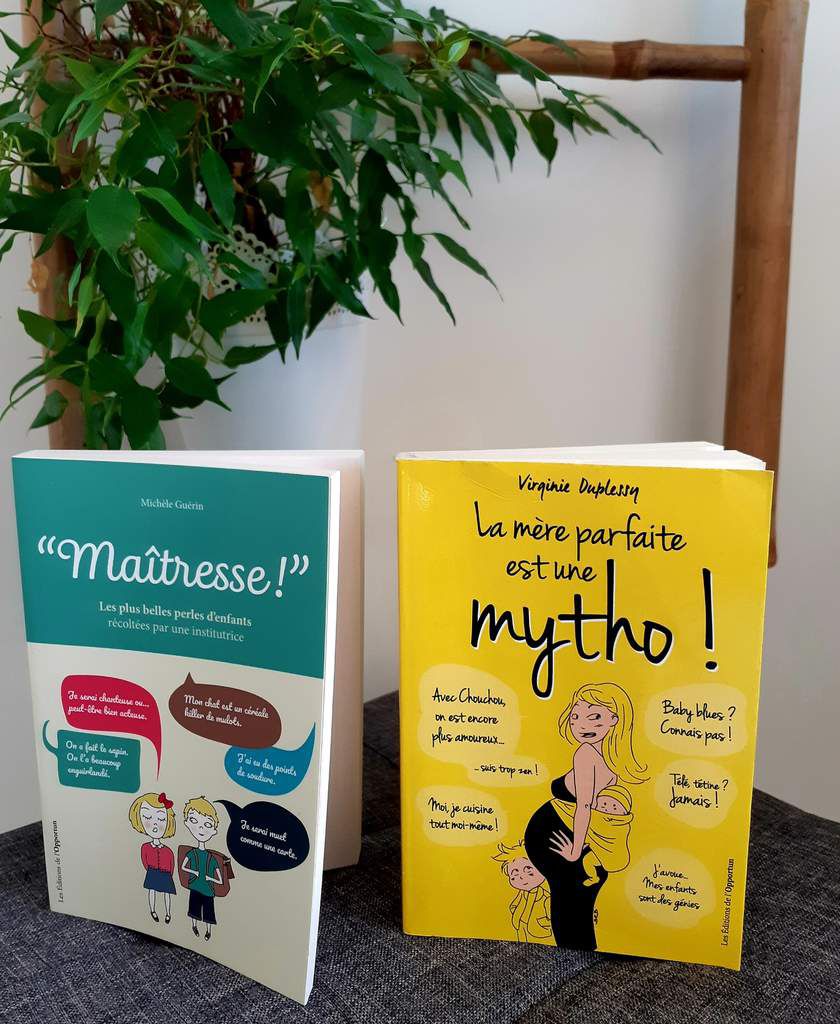 La mère parfaite est une mytho, maîtresse, les editions de l'opportun, livre 