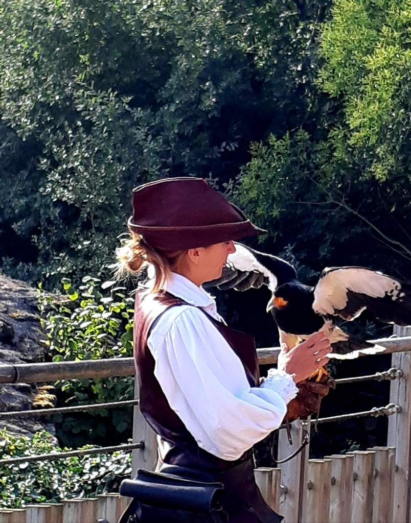 Puy du fou