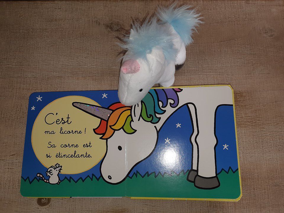 où est ma licorne, Editions Usborne, livre pour enfant, idée cadeau, unicorn