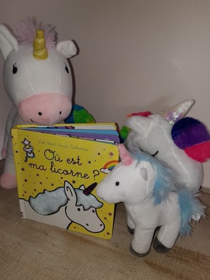 où est ma licorne, idée cadeau, livre enfant, Editions Usborne