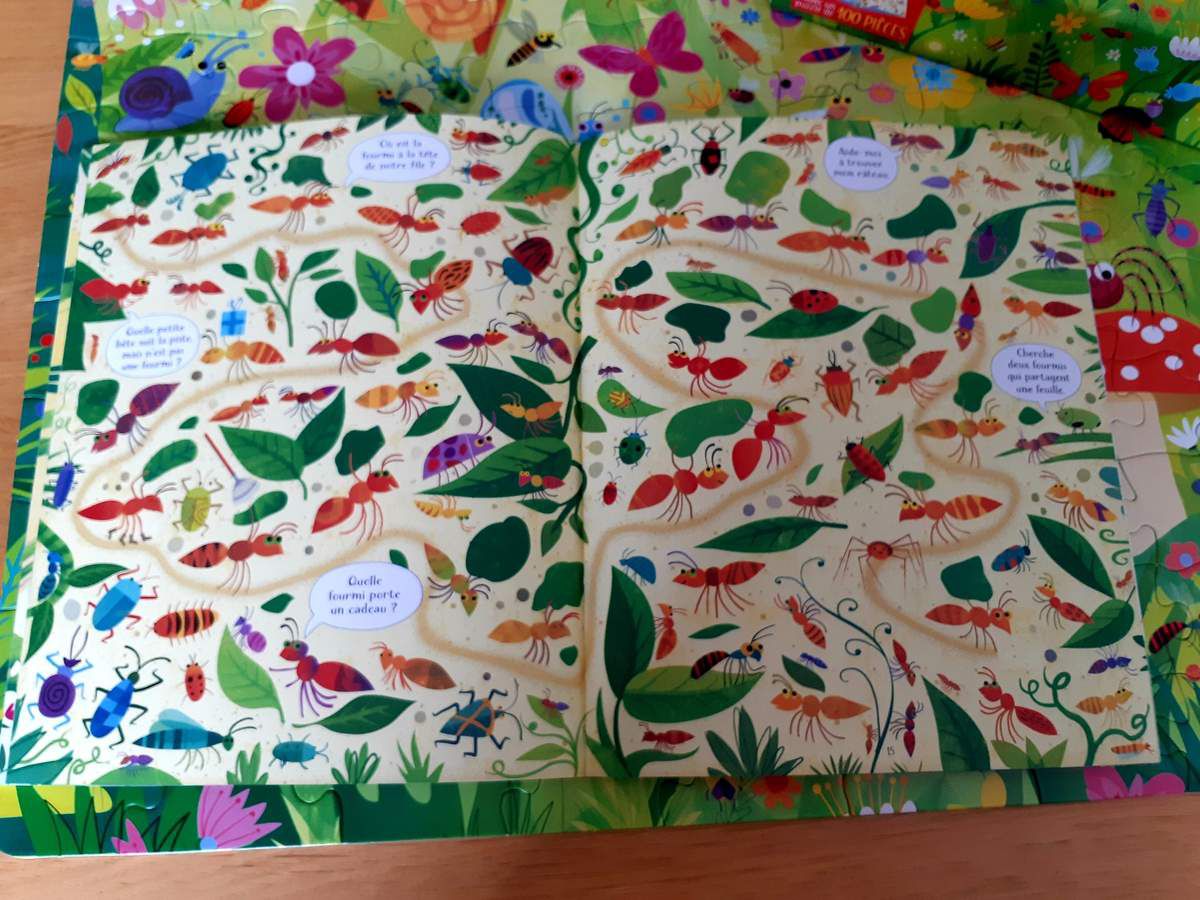 Livre et puzzle éditions usborne