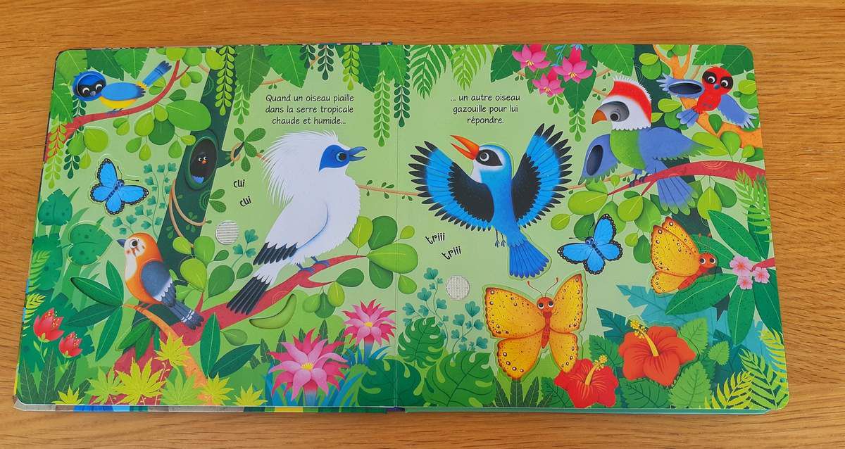 Les bruits du zoo, éditions usborne