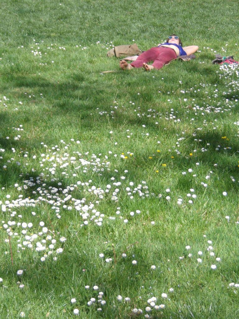 Une jeune femme prend un bain de soleil au milieu des pâquerettes au parc Lavit