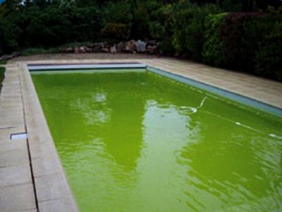 Rattraper Une Eau De Piscine Verte Piscine Plus Montpellier