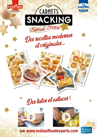 Carnets du snacking spécial fêtes Sodiaal Food Experts