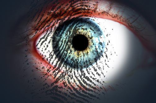 "image-article-personnalite-criminelle-stux-psycho-criminologie.com"