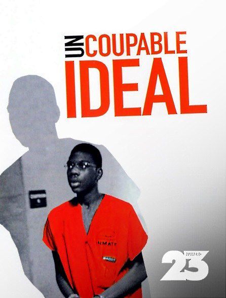Un-coupable-ideal-documentaire-psycho-criminologie.com