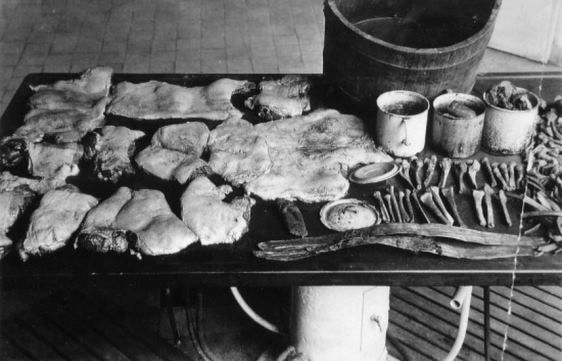 Karl-denke-restes-cannibale-tueur-en-serie-pologne-allemagne-psycho-criminologie.com