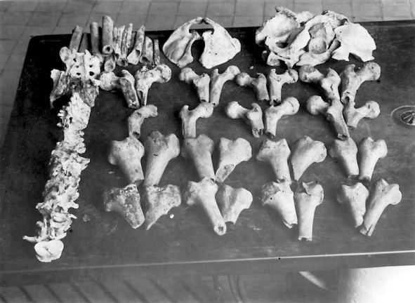 Karl-denke-os-cannibale-tueur-en-serie-pologne-allemagne-psycho-criminologie.com