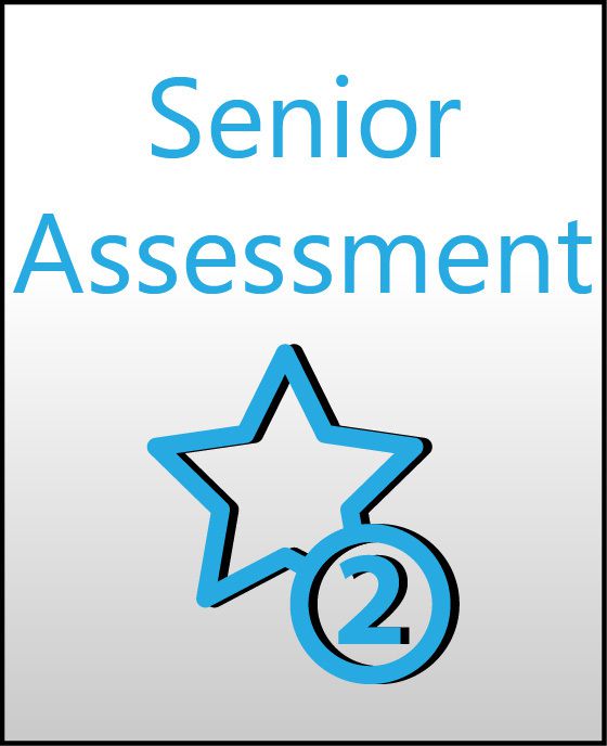 senior assesment