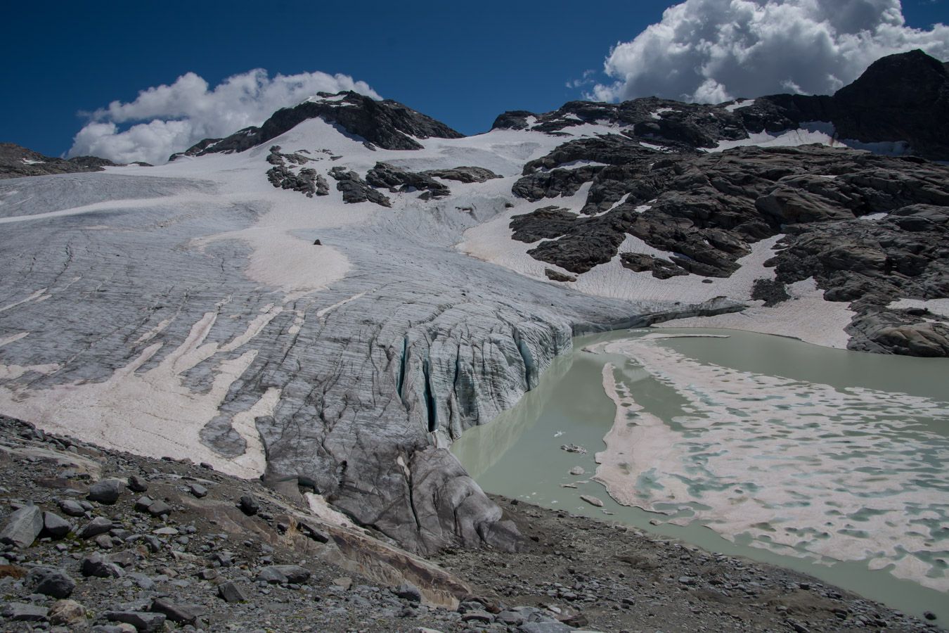 Le glacier du Grand Méan et ses bouquetins