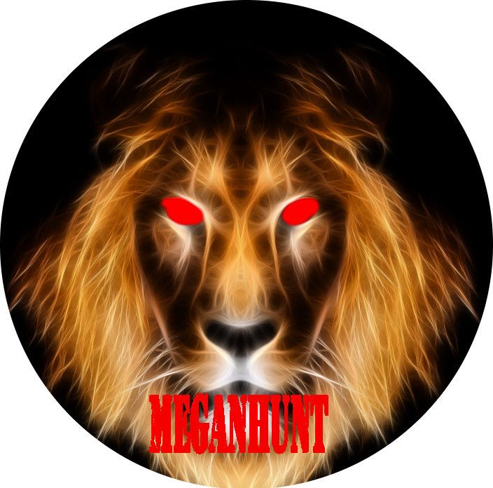 Nouveau Profil Discord L Atelier De Megan
