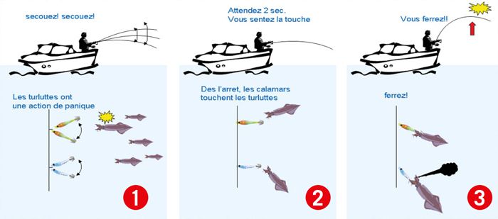 Comment faire le bon choix de turluttes Yamashita pour la pêche du calamar  ? - DPSG