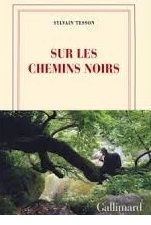 sylvain tesson, sur les chemins noirs
