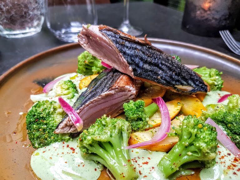 Bonite snackée, brocolis, faisselle aneth câpres Terra Restaurant Paris 3