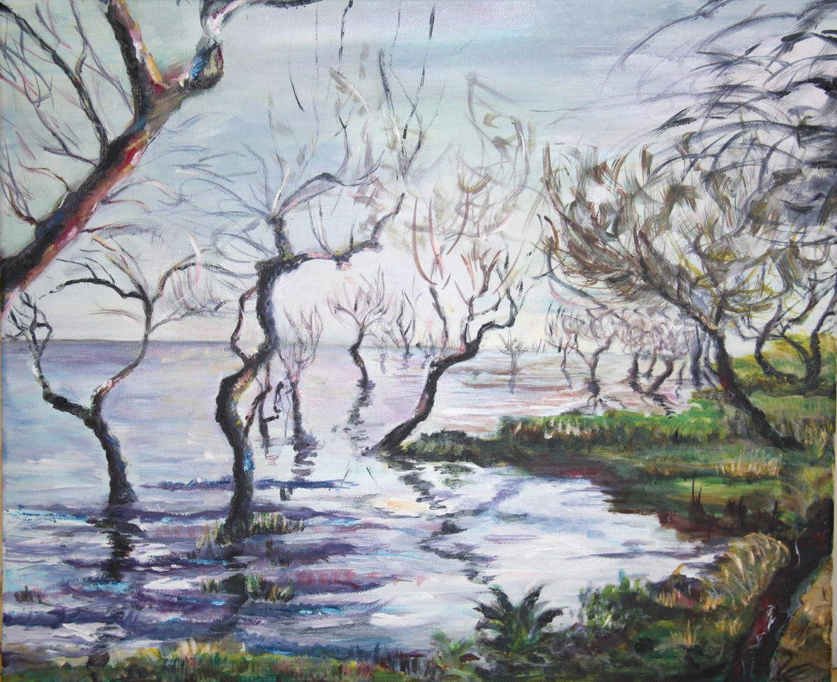 Marine, eva deuffic , arbres, berges, bassin d'Arcachon