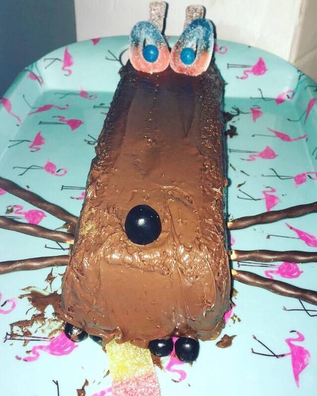Le Gateau Loup Oph Elie Le Gateau Loup Oph Elie