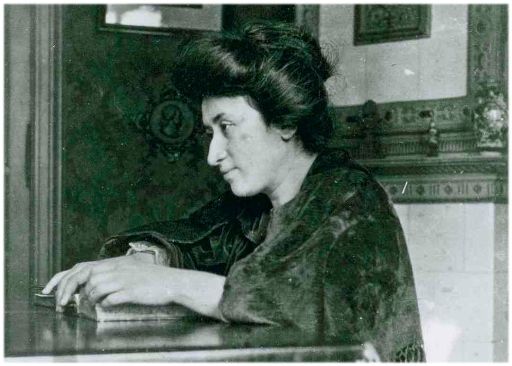 Rosa Luxemburg. Textes contre le militarisme, l'impérialisme et la guerre. Sur le site Sozialistische Klassiker 2.0.