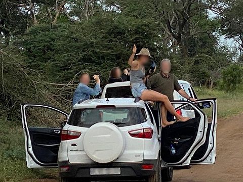 The SANParks rangers in the Crocodile Bridge area were alerted to the irresponsible behavior of these visitors and flew over to instruct them to get back into their vehicle. Visitor Management and Protection Service are on their way to mete out a sanction.