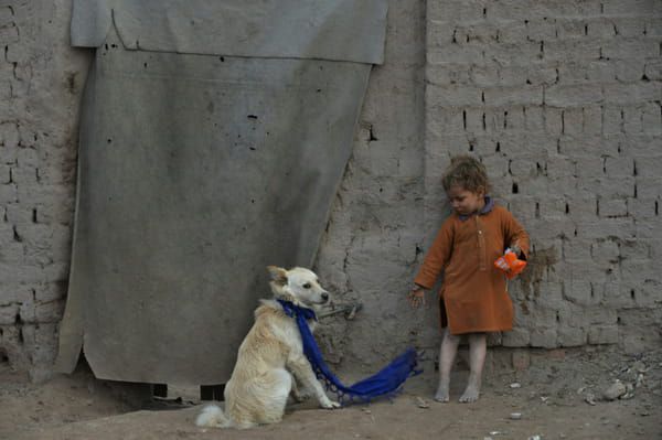 AFP Un enfant et un chien, le 3 février 2020 à Jalalabad, en Afghanistan © AFP - NOORULLAH SHIRZADA