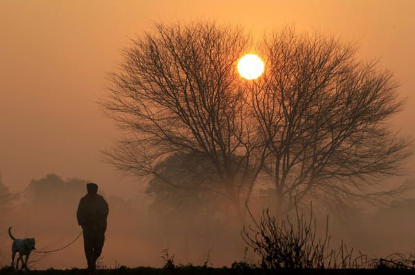 AFP Un homme promène son chien à Chandigarh, en Inde, le 9 février 2020 © AFP - Vijay MATHUR