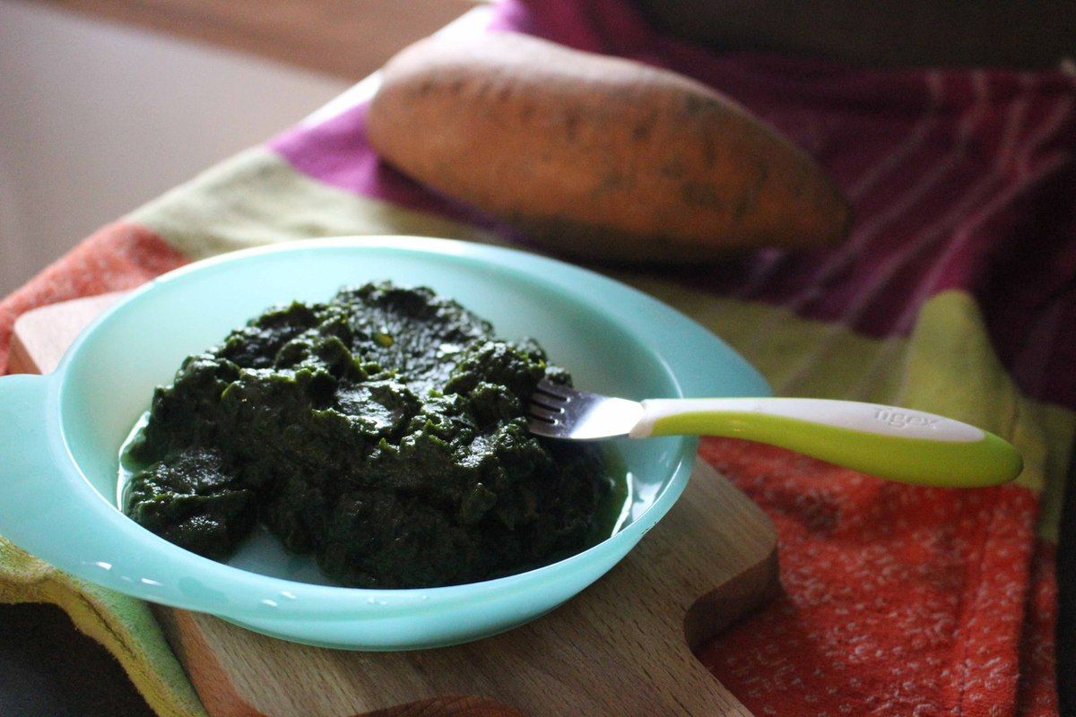 Puree Epinard Poisson Bebe Aplv Des 8 Mois 2 Vitammix Puree Epinard Poisson Bebe Aplv Des 8 Mois 2 Vitammix