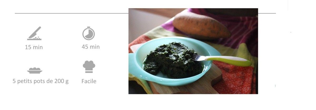 Puree Epinard Poisson Bebe Aplv Des 8 Mois 2 Vitammix
