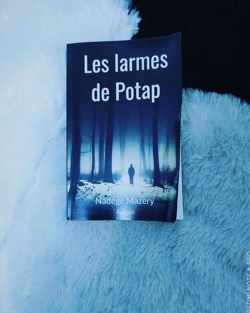 Les Larmes De Potap De Nadege Mazery Livrement Ka Les Larmes De Potap De Nadege Mazery Livrement Ka