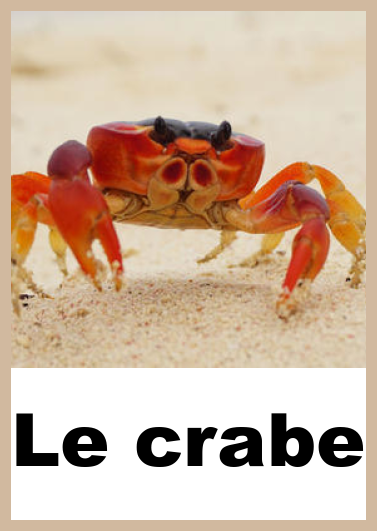 Imagier Nathalienounou35 Over Blog Com