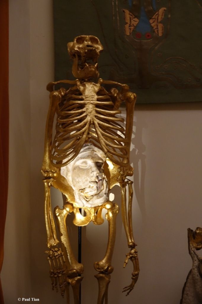 Musée-théâtre Salvador Dali : à Figueres, dans l'antre du surréalisme !