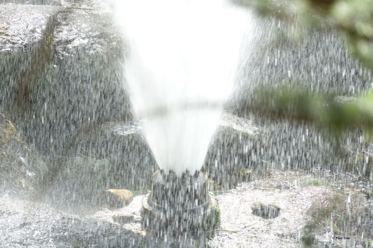 Saint-Ferréol : escapade photos sur le sentier des sommets