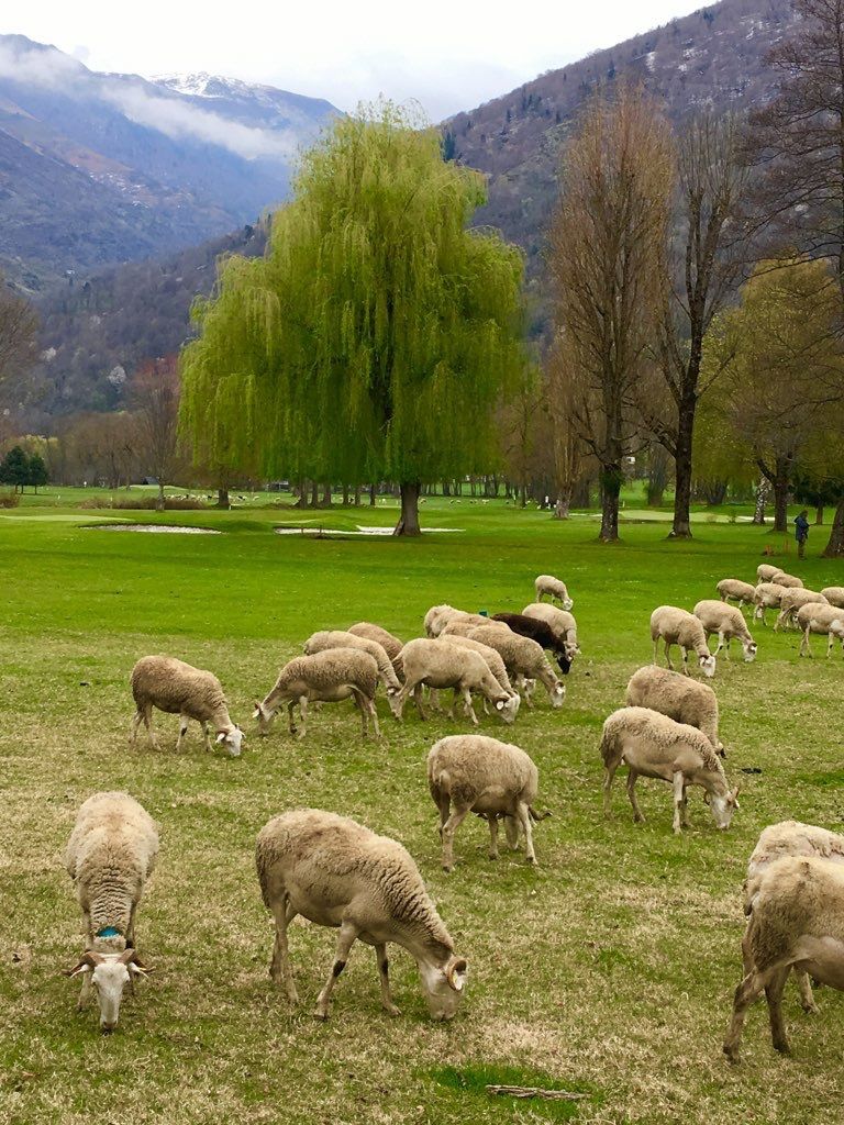Luchon : 24 heures séparent ces deux photos...