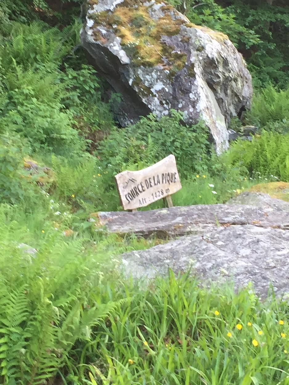 Une source d'eau pure au pied du pic de la Pique...