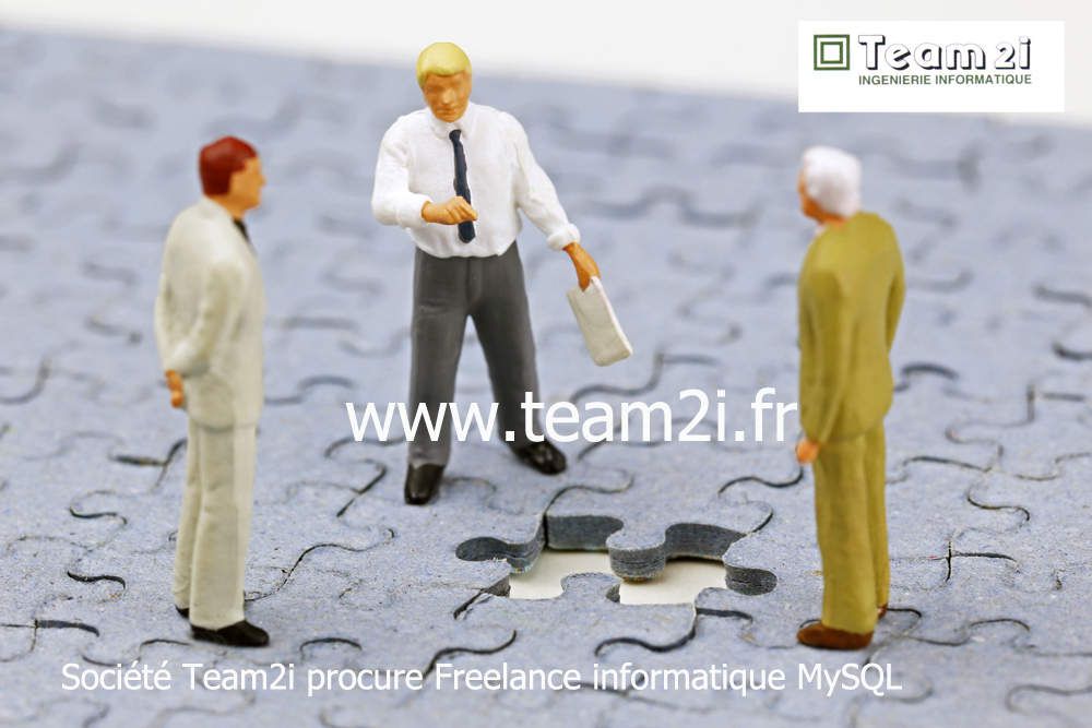Team2i permet aussi aux freelances cherchant une mission d’en trouver une : pour cela, nous diffusons votre CV aux 12000 SSII - ESN (entreprises de service du numérique) que nous connaissons et qui acceptent de recevoir nos offres pour certaines depuis 1998.