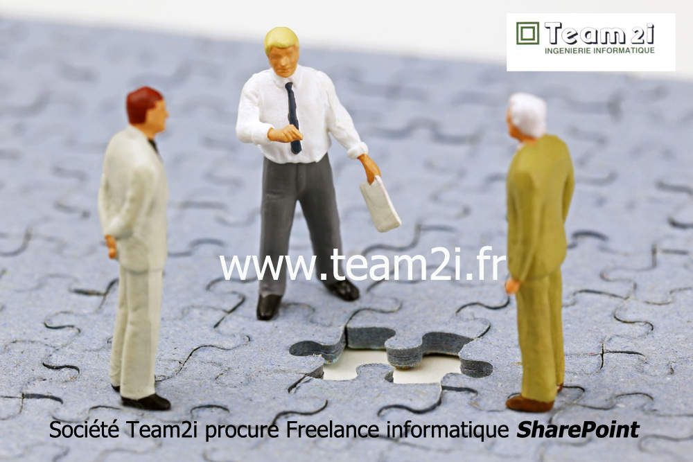 Team2i permet aussi aux freelances cherchant une mission d’en trouver une : pour cela, nous diffusons votre CV aux 12000 SSII - ESN (entreprises de service du numérique) que nous connaissons et qui acceptent de recevoir nos offres pour certaines depuis 1998.