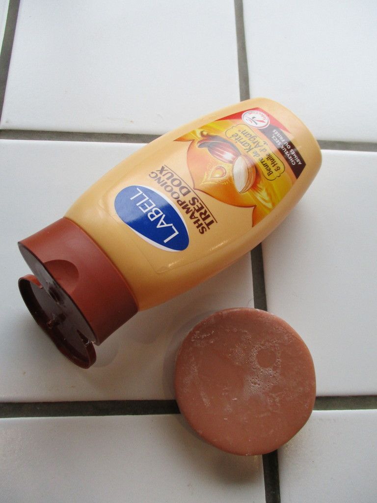 Dans la salle de bain.. Une fourmi dans le placard