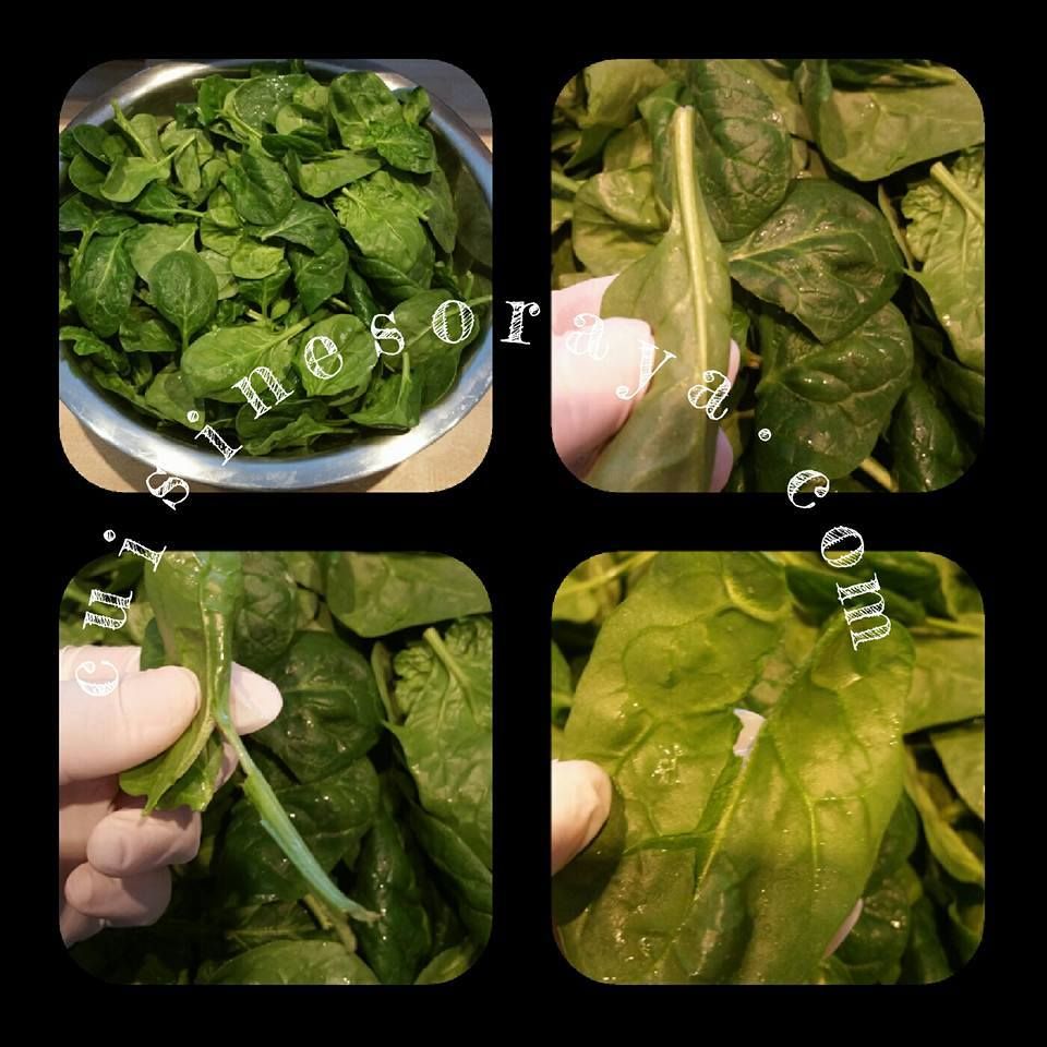 Gözleme aux épinards et fromage.