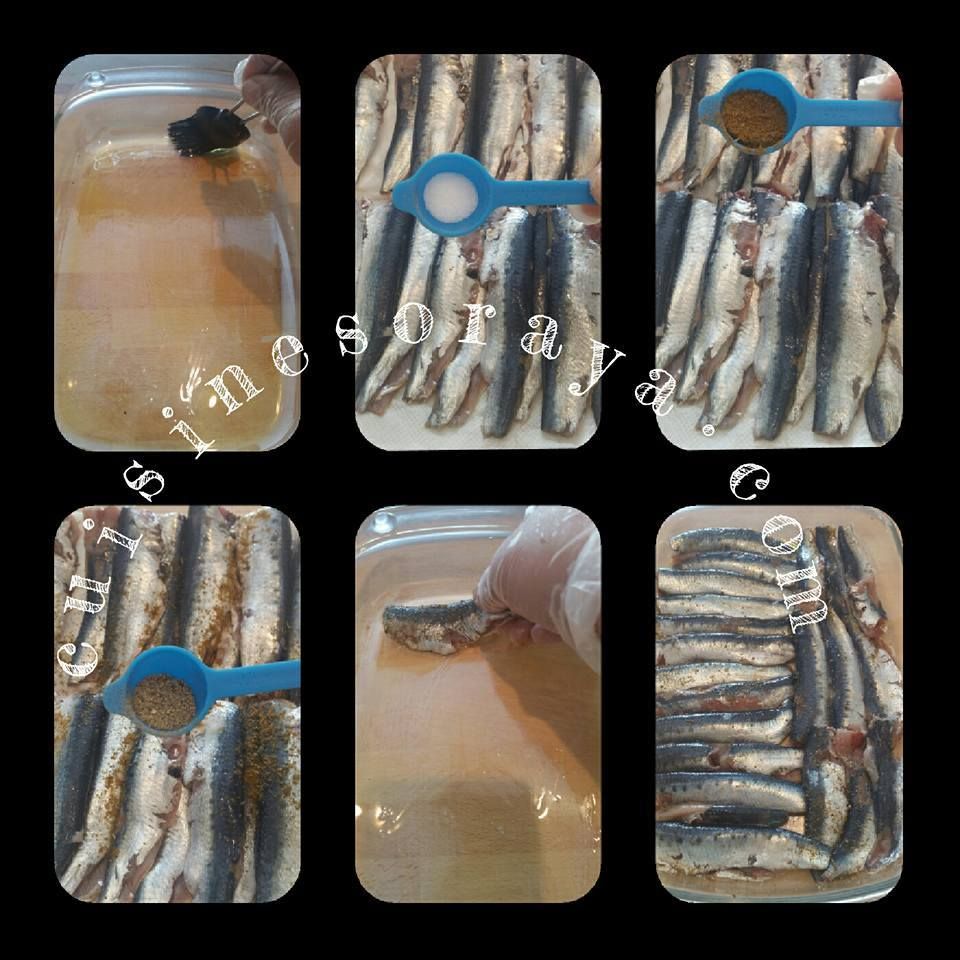 Sardines fraîches à la tomate