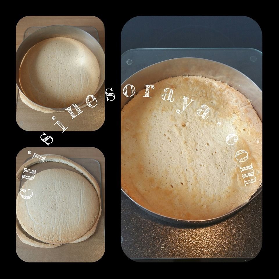 Royal au chocolat / Trianon