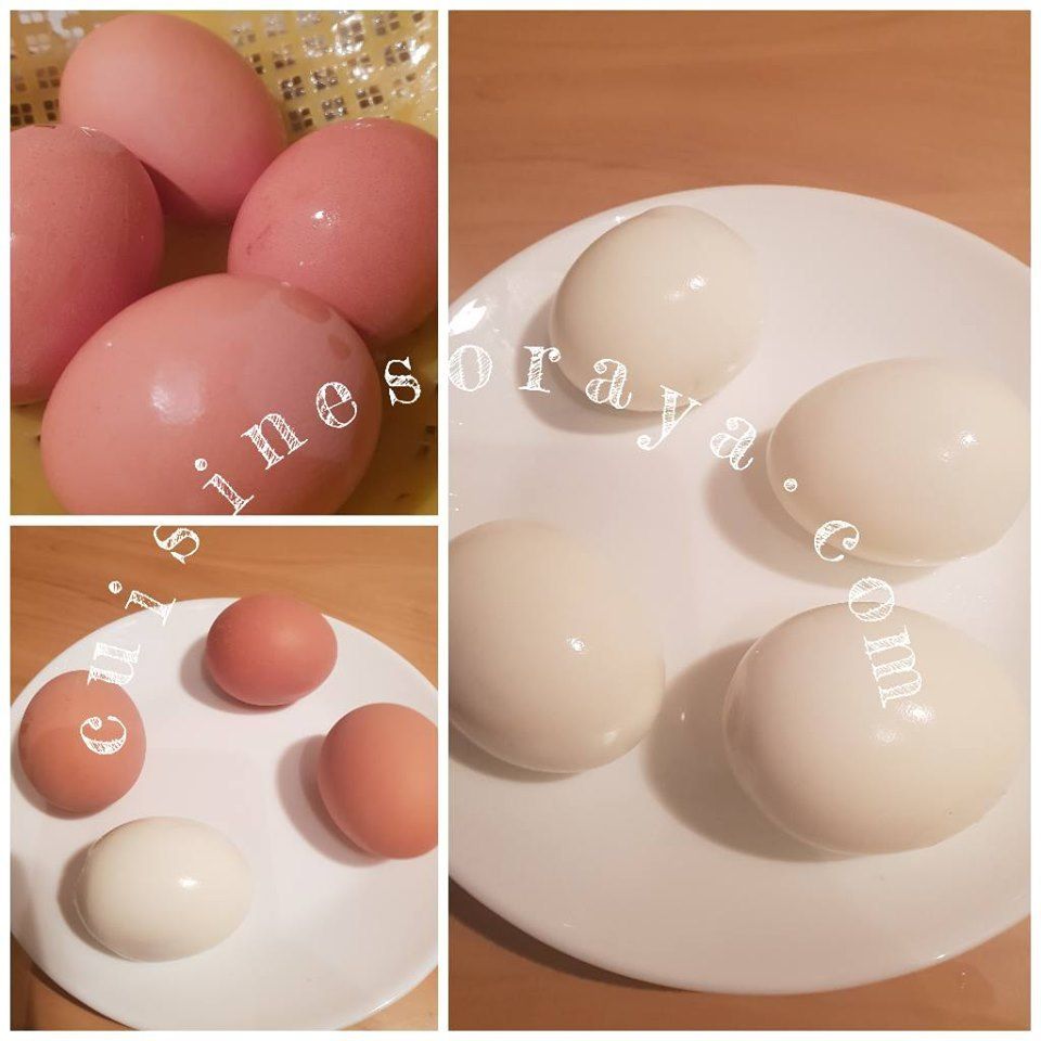 Oeuf dur façon burger