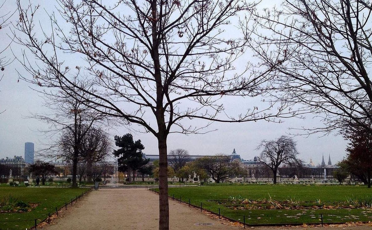 Le jardin des Tuileries en hiver - ONLAVU