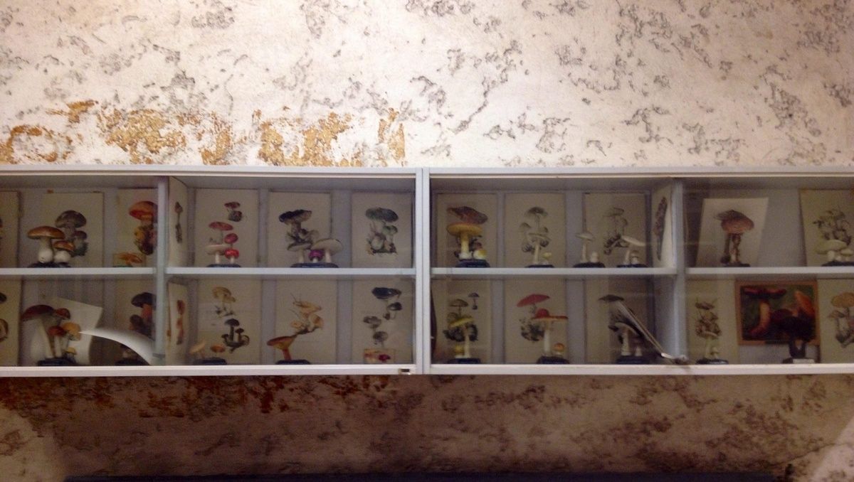 La faculté de pharmacie de Paris- ONLAVU