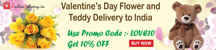 teddy delivery same day