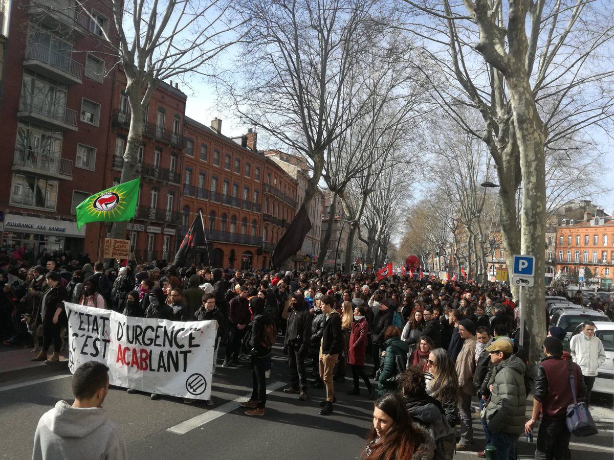 Cortège de la manifestation à Toulouse.