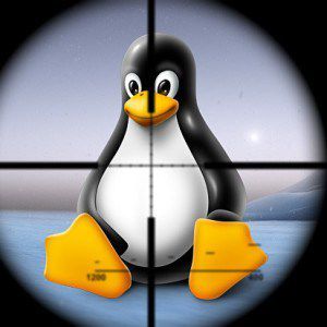 Noyau Linux , Vulnérabilité Linux , Security Chronicles , Vulnérabilités kernel