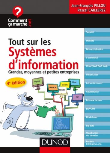 4ème édition de Tout sur les Systèmes d'Information est publié chez Dunod