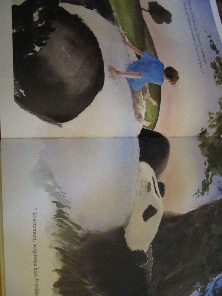 Les Contes Zen - Liste De 4 Livres